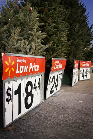 Day Before Black Friday, Low Price Christmas Trees