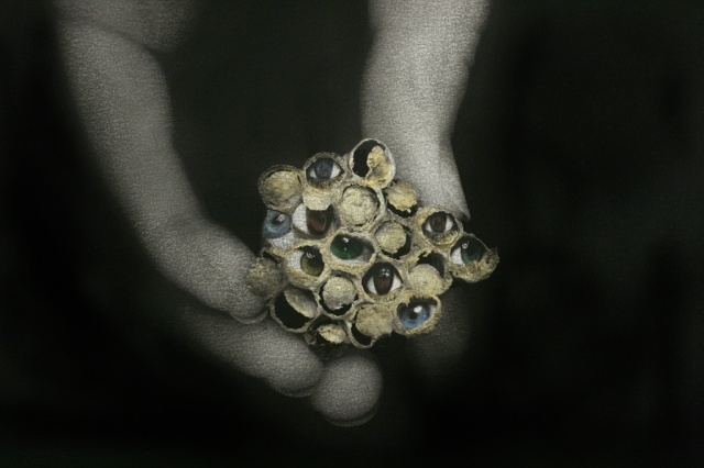 Detail of "Eyespots (A Method of Defense)”