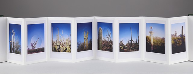Open Interior
Saguaros Alive & One Lightning Struck