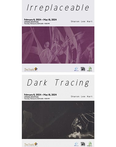 2/2024 Solo Exhibition: Irreplaceable / Dark Tracing