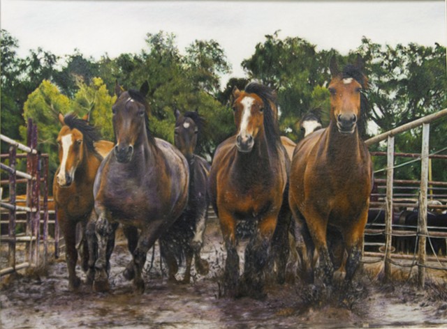 "Wild Horses" by Vanessa Sosa