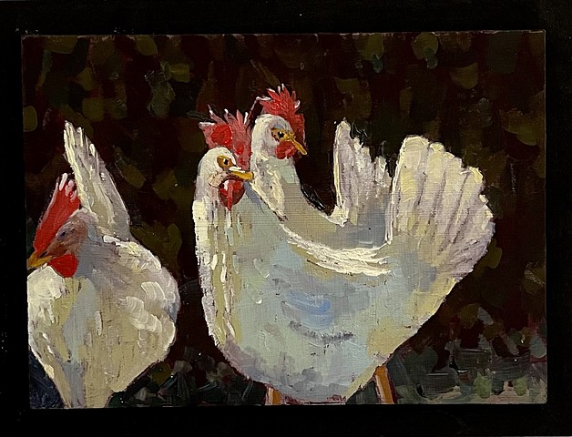 Backyard chickens, Cortona, Italy (NFS)