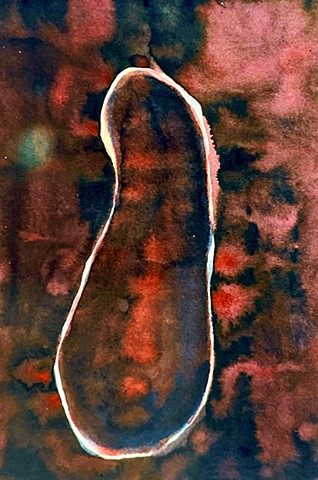 "eggplant", 1991