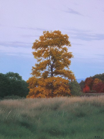 October Hickory