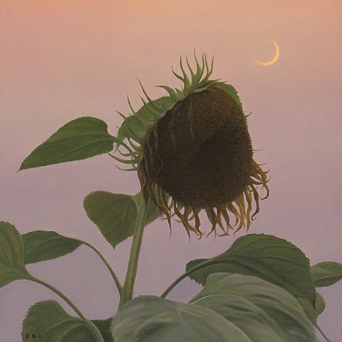 "September Sunflower"