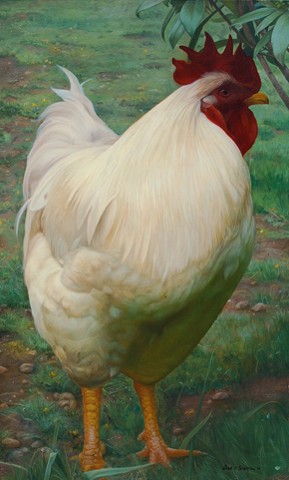 "Portrait of a Rooster"
