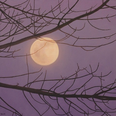 "Through the Branches"