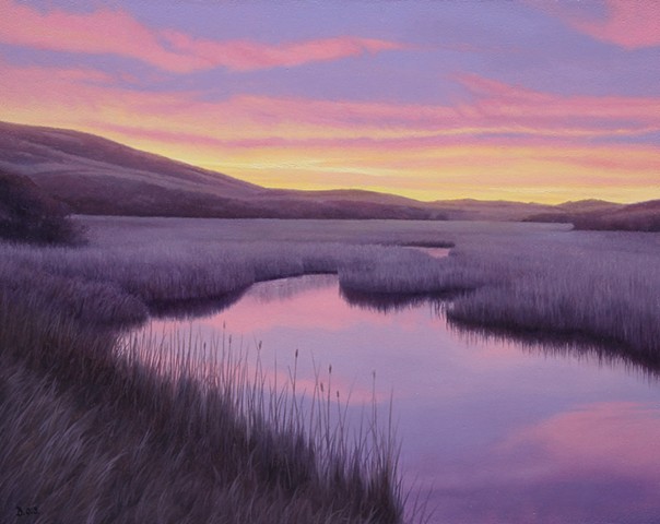 "Violet Wetland"