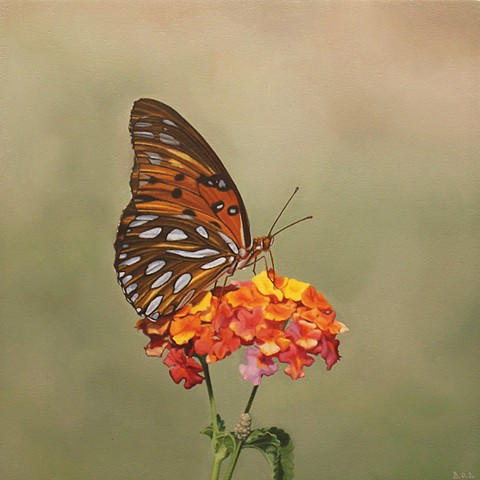 Gulf Fritillary 