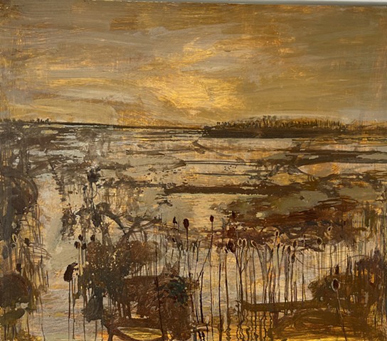 Reed Beds In Evening Light 