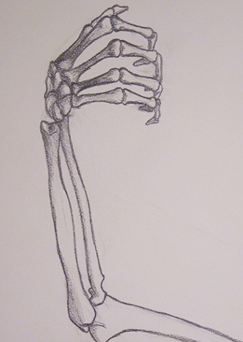 Life Drawing 1/ Skeleton Studies - Hand and Arm
Anonymous