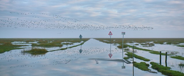 As the Tide Comes In