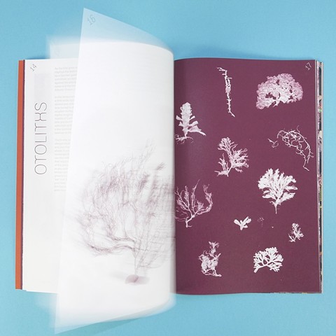 SEDIMENTA: A science-(non)fiction fairy tale about rocks