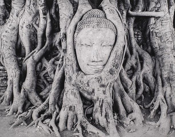 Buddha Head, Ayutthaya,Thailand