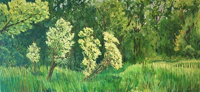 A plein air painting of trees and pond in Minnetonka MN park