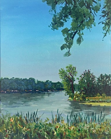 Summer Morning at Bald Eagle Lake