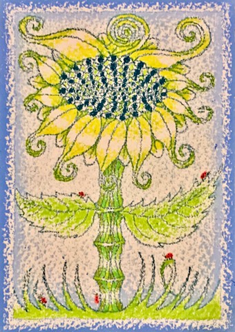 Lady Bug Sunflower