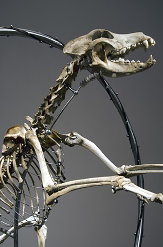 skeleton, sculpture, Steven Finke, dog