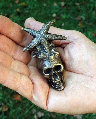 Skull with starfish