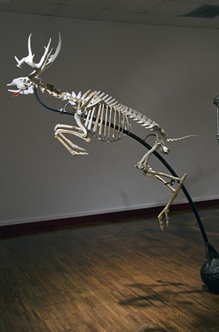 deer skeleton sculpture steven finke leaping