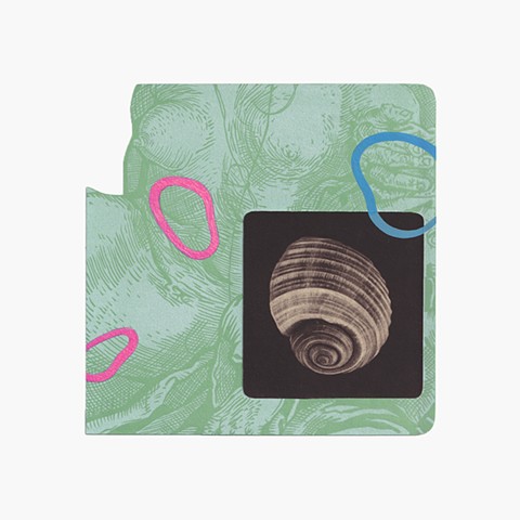 Shell