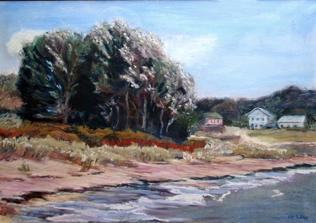 Windy Beach