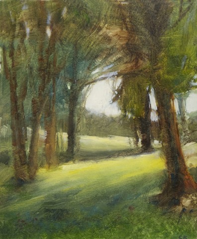 Light through the Trees