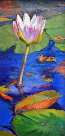 vividly colored lily