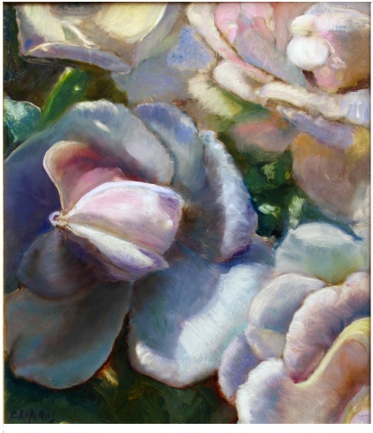 Blush Roses- private collection