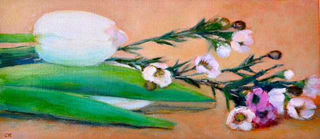 white tulip oil