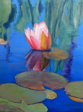 lily reflecting into the water