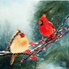 Cardinal Couple - donated/sold