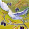 "Dove"  Donated/sold