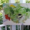 Green Zinnias