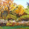 Autumn Show
