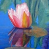 Lily Reflecting - sold
