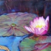 Lily-Sold