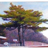 Pines, Exit 56  - sold
