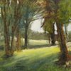 Light through the Trees