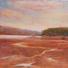 Saugatuck River View