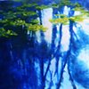 Landscapes
