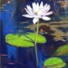 White Lily - sold