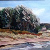 Windy Beach