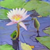 Floating World