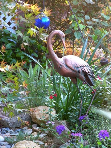 Garden heron