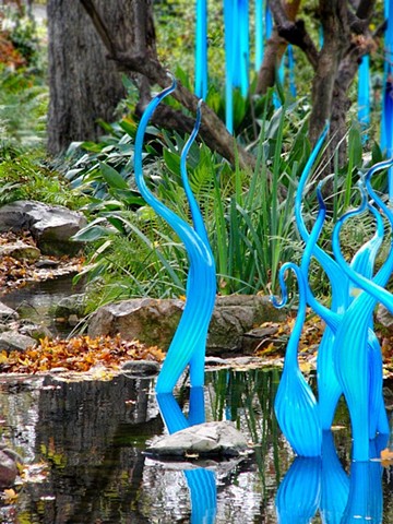 Chihuly 