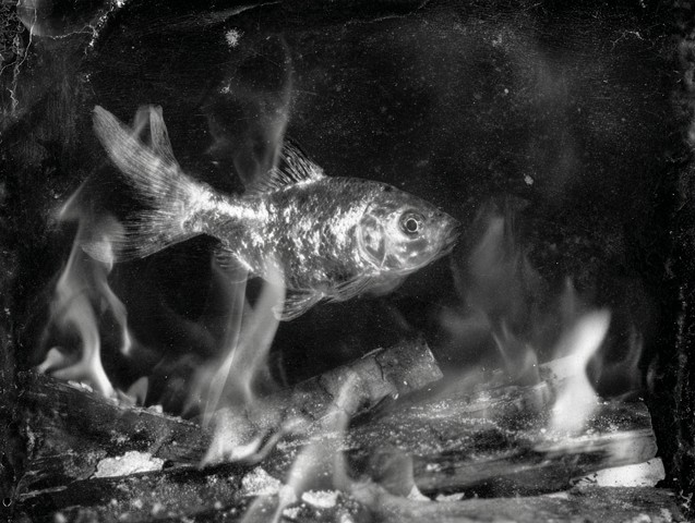 Fire