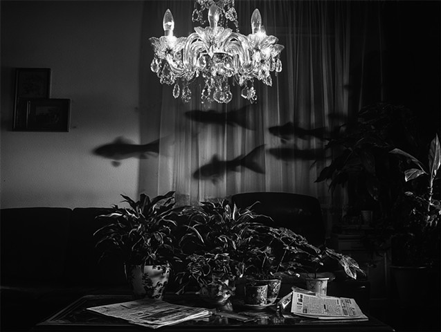 The entity outside the boundaries
