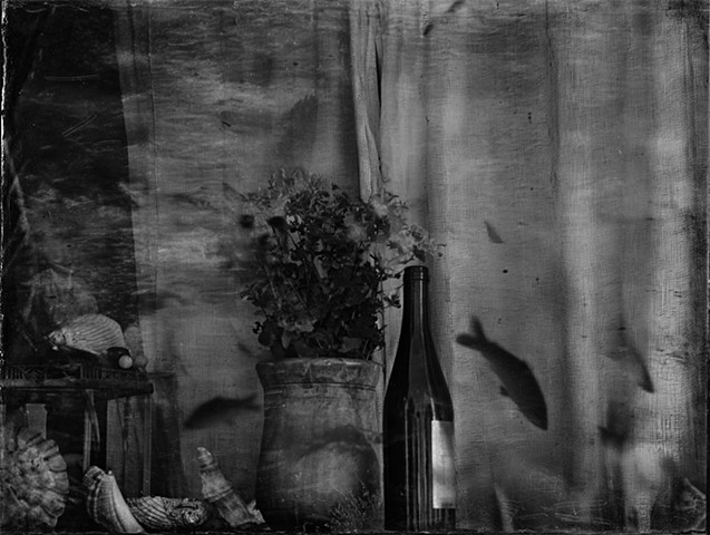 Wine and Fish