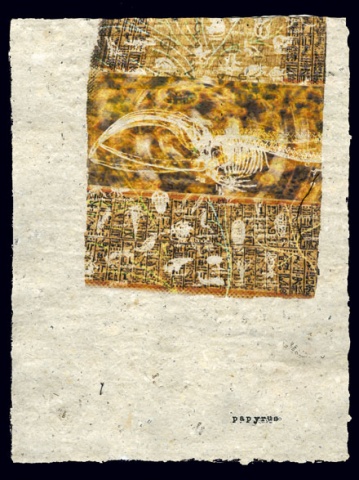 Document 17 (Papyrus)